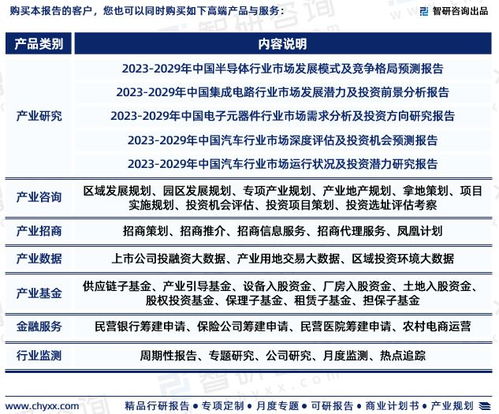 2023年中国汽车车身电子控制系统行业市场评估及投资前景预测报告